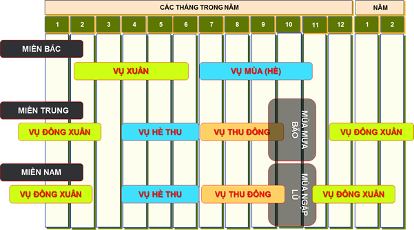 KỸ THUẬT CANH TÁC LÚA