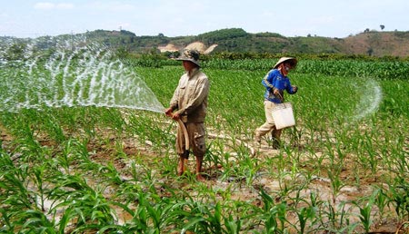 Kỹ thuật gieo trồng